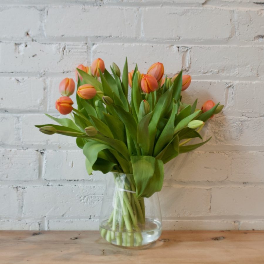 Buy Flowers Online Auckland Flower Shop NZ Grace and Flora